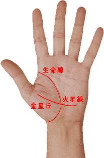 占いブログ 自分の手にあったらマズイかも。。。要注意な手相