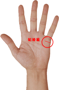 占い 手相 結婚線