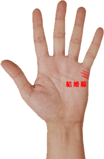 占い 手相 結婚線 複数