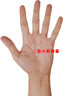 占い 手相 結婚線 二股