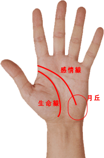 手相 知能線と生命線が重ならない