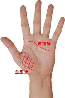 手相 金星丘と感情線