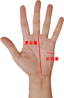 手相 運命線と反抗線