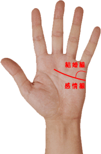 手相 結婚線 感情線 未亡人