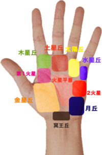 西洋式 手相 丘の意味