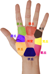 東洋式 手相 丘の意味