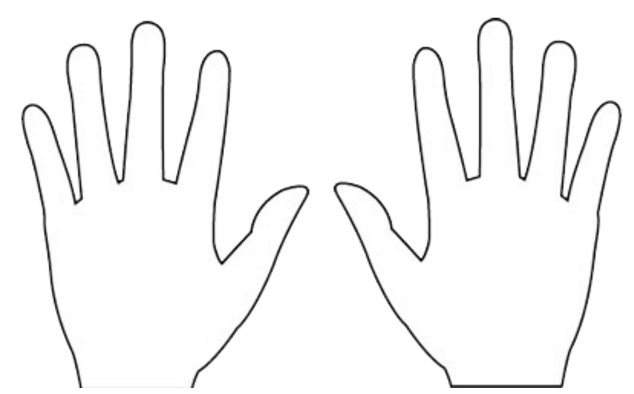 占いブログ【手相】 左手と右手 どちらを見るか?