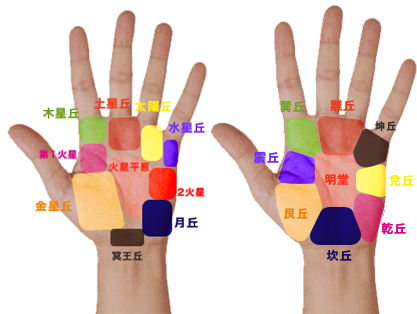 占いブログ 手相の基本 西洋式・東洋式の丘の意味